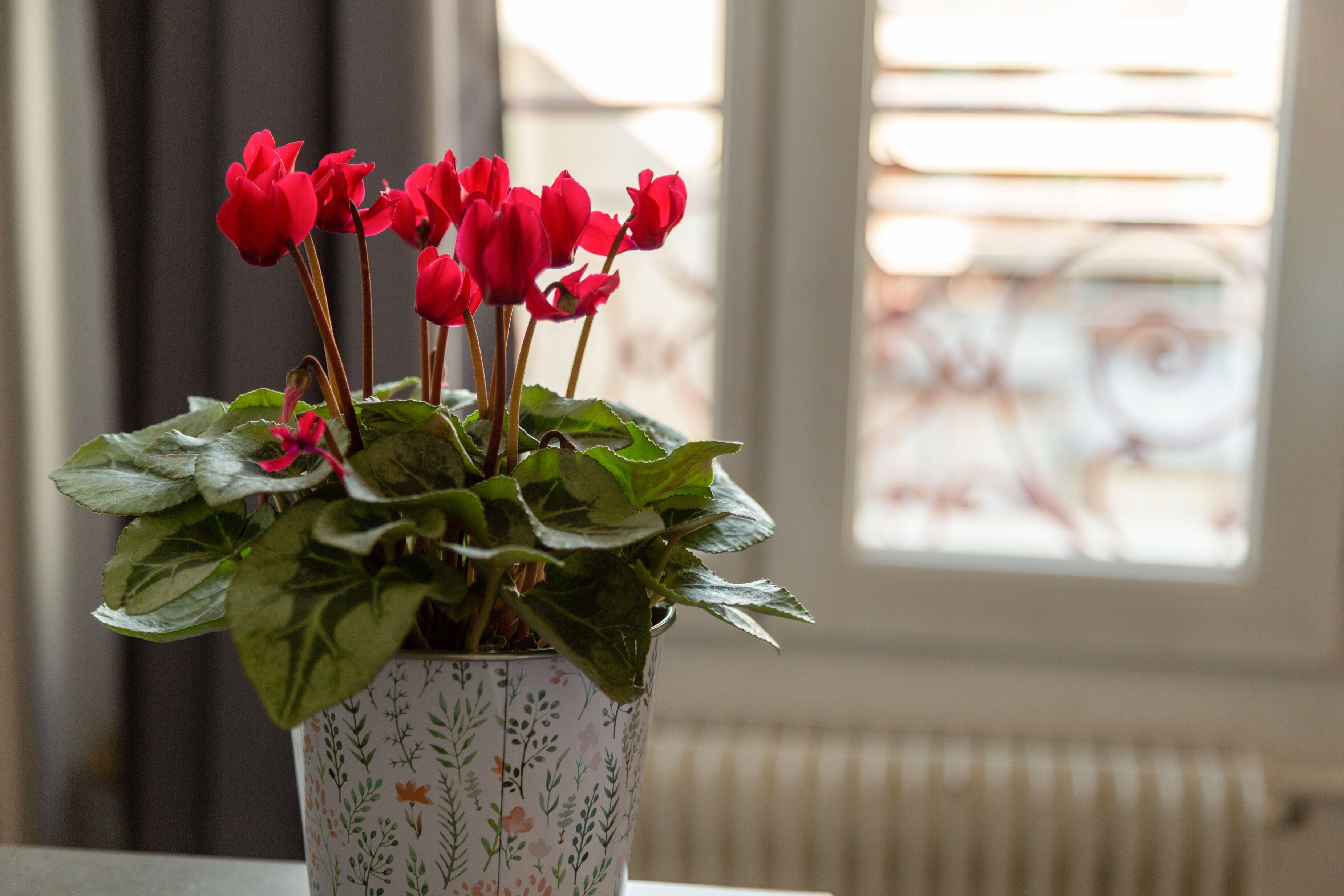 Hotel The Originals City, Lecourbe, Tour Eiffel 3*